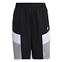 Short Adidas Sportswear Negro